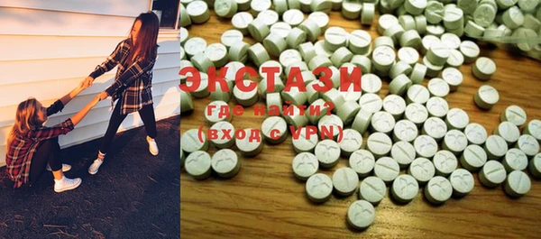 ECSTASY Бородино