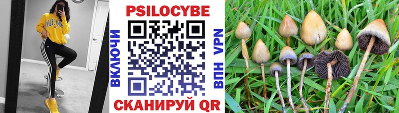 где можно купить   Волчанск  Галлюциногенные грибы Magic Shrooms 